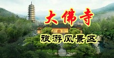 黄色日比中国浙江-新昌大佛寺旅游风景区